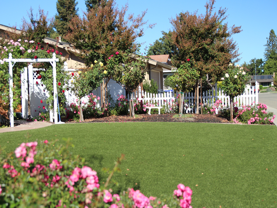 Best Artificial Grass Tracy California, Landscaping Tracy Ca