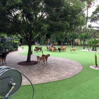 Artificial Grass Carpet Walnut Creek, California Gardeners, Commercial Landscape