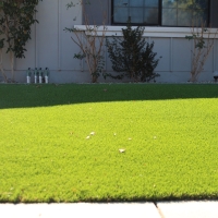 Artificial Grass Installation Byron, California Gardeners, Front Yard Ideas