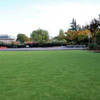 Artificial Grass Palo Alto, California Landscape Photos