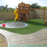 Artificial Turf San Bruno, California Garden Ideas, Backyard Garden Ideas