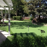 Best Artificial Grass Roseland, California Home And Garden
