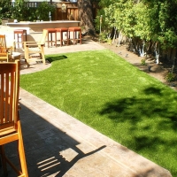 Fake Grass Carpet American Canyon, California Pet Grass, Backyard Landscape Ideas