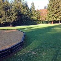 Fake Grass Carpet Riverdale Park, California Lawn And Garden, Recreational Areas