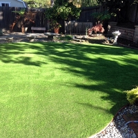 Fake Grass Carpet Sunol, California Landscape Photos, Backyard