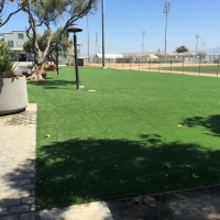 Fake Turf Mount Hermon, California Roof Top, Commercial Landscape