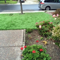 Grass Carpet Emeryville, California Landscape Rock, Front Yard Landscaping