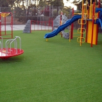 Grass Carpet Sebastopol, California Design Ideas, Parks