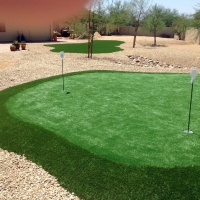 Green Lawn Petaluma, California Home Putting Green, Beautiful Backyards