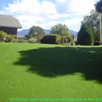 Outdoor Carpet Colma, California Cat Playground, Backyard Design