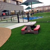 Outdoor Carpet Guinda, California City Landscape, Above Ground Swimming Pool