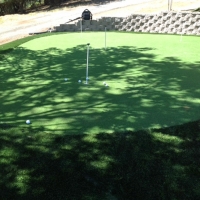 Outdoor Carpet Santa Venetia, California Gardeners, Backyard