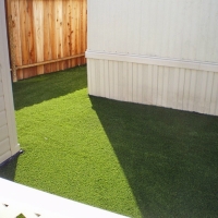 Plastic Grass Alto, California Landscape Photos, Backyard Designs