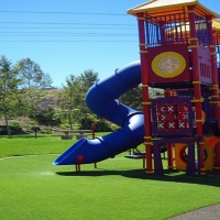 Plastic Grass Graton, California Lawn And Garden, Parks