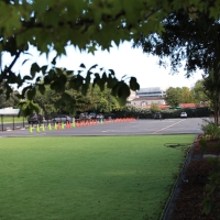 Synthetic Lawn Pescadero, California Sports Turf, Commercial Landscape