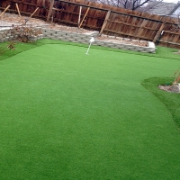 Synthetic Turf Newark, California Diy Putting Green, Backyard Landscaping