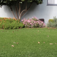 Turf Grass Antioch, California Landscape Design, Landscaping Ideas For Front Yard