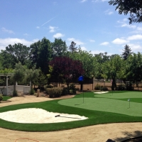 Turf Grass Marin City, California Putting Green, Front Yard Landscaping Ideas