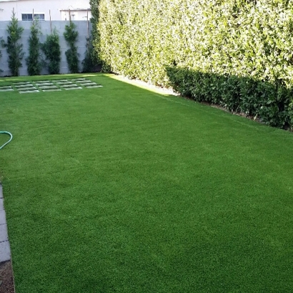 Artificial Grass Black Point-Green Point, California Lawn And Landscape, Backyard Garden Ideas