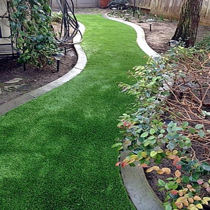 Artificial Grass Blackhawk, California Lawn And Landscape, Backyard Landscape Ideas