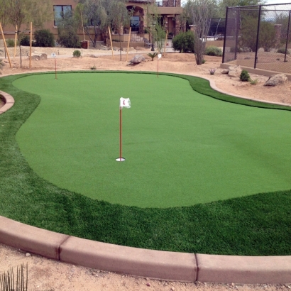 Artificial Grass Carpet Albany, California Lawns, Backyard