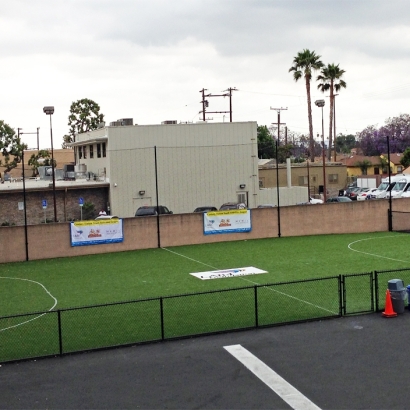 Artificial Grass Carpet Belmont, California Sports Athority, Commercial Landscape