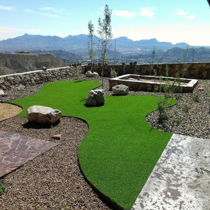 Artificial Grass Carpet Cloverdale, California Grass For Dogs, Small Backyard Ideas