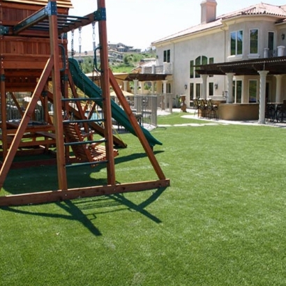 Artificial Grass Carpet Pleasanton, California Kids Indoor Playground, Backyard