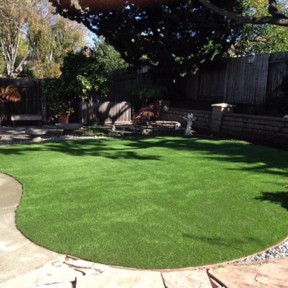 Artificial Grass Carpet Pleasanton, California City Landscape, Backyard Design