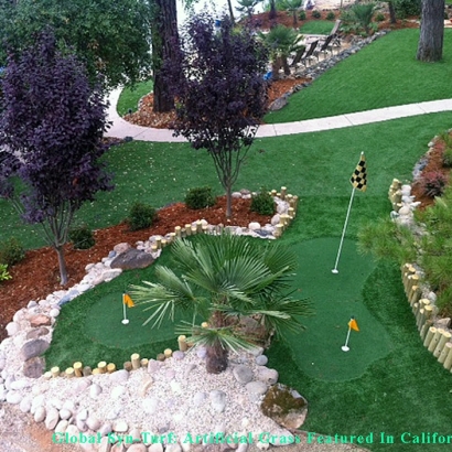 Artificial Grass Carpet San Francisco, California Landscape Ideas, Backyard