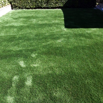 Artificial Grass Carpet Zayante, California Artificial Grass For Dogs, Beautiful Backyards