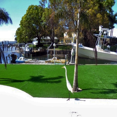 Artificial Grass Installation Pacifica, California Design Ideas, Backyards