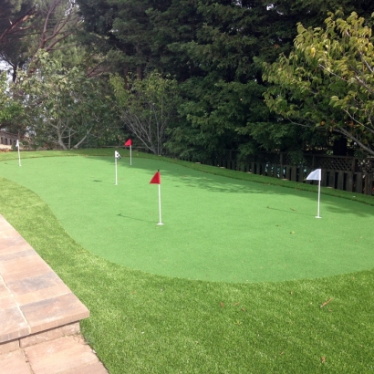 Artificial Grass La Honda, California Backyard Putting Green, Backyard Ideas