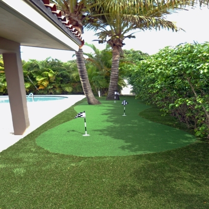 Artificial Grass La Selva Beach, California Rooftop, Backyard Landscaping