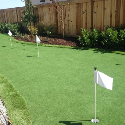 Artificial Grass Zayante, California Indoor Putting Green, Backyards