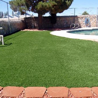 Artificial Turf Castroville, California Dog Hospital, Swimming Pools