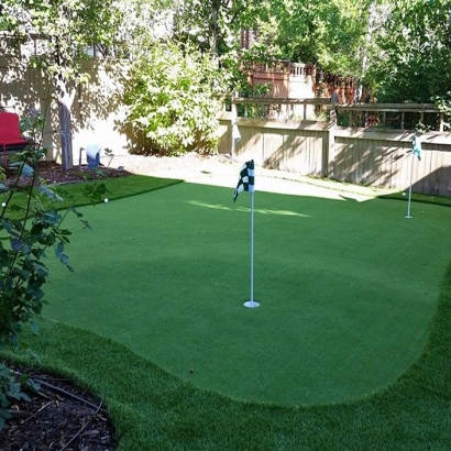 Artificial Turf Cost Black Point-Green Point, California Backyard Playground, Backyard Landscaping