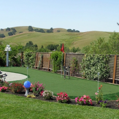 Artificial Turf Cost Colma, California Best Indoor Putting Green, Backyard Ideas