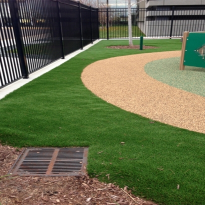 Artificial Turf Cost Live Oak, California Kids Indoor Playground, Commercial Landscape