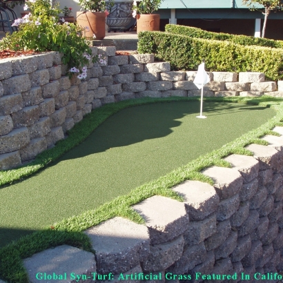 Artificial Turf Cost Tiburon, California Landscape Design, Small Backyard Ideas