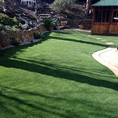 Artificial Turf East Palo Alto, California Landscape Design, Beautiful Backyards
