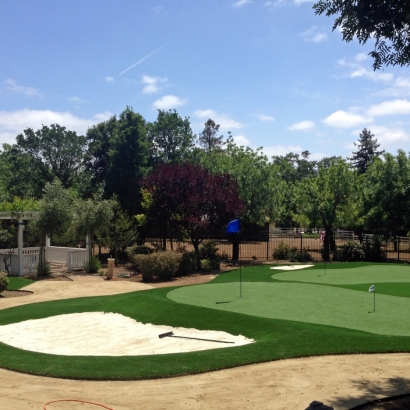 Artificial Turf Installation Inverness, California Putting Green Flags, Front Yard Ideas