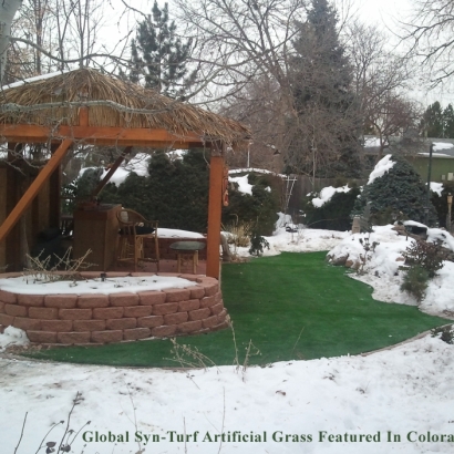 Artificial Turf Installation Piedmont, California Gardeners, Snow