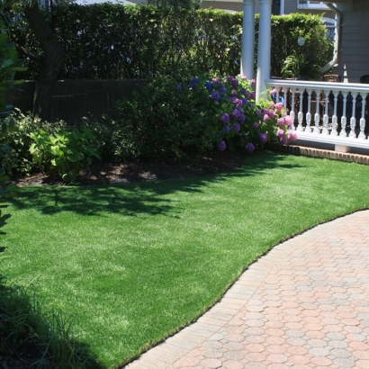 Artificial Turf Installation Valley Ford, California Dog Park, Front Yard Design