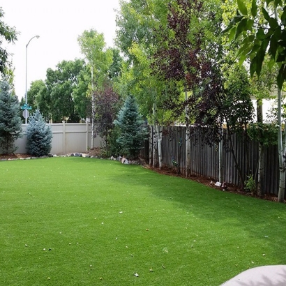 Best Artificial Grass Hayward, California Dog Run, Beautiful Backyards