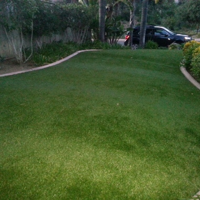 Best Artificial Grass Occidental, California Rooftop, Front Yard Landscape Ideas
