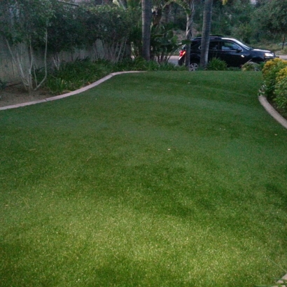 Best Artificial Grass Occidental, California Rooftop, Front Yard Landscape Ideas