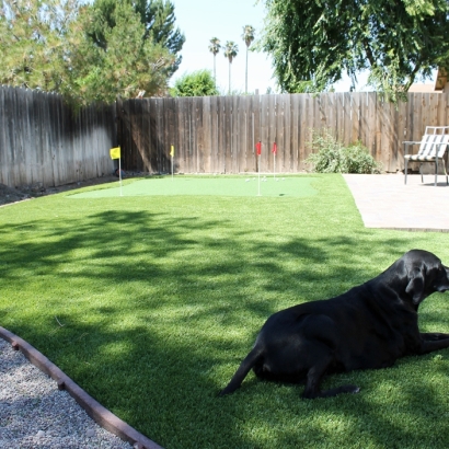 Best Artificial Grass Santa Clara, California Putting Green Carpet, Grass for Dogs