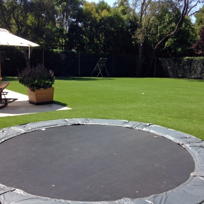 Best Artificial Grass Terminous, California Lawn And Landscape, Backyard Landscaping