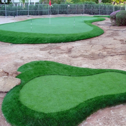 Best Artificial Grass Vineyard, California Home Putting Green, Front Yard Landscape Ideas